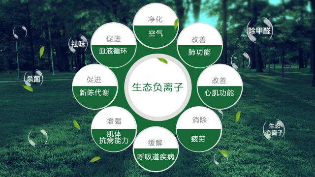 負離子空氣凈化器是值得購買的，尤其在春季