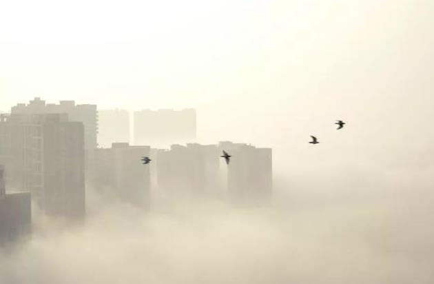 在人造空氣負離子的環(huán)境，可明顯見到設(shè)備、場地上飄塵的沉降