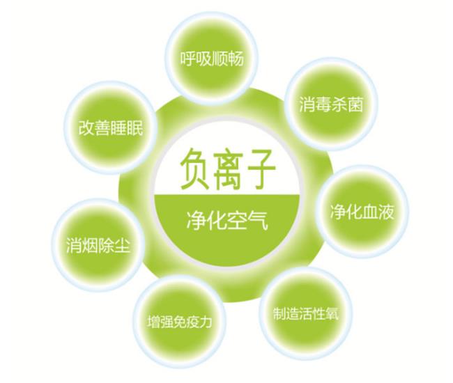 負離子的抗氧化性是基本的化學原理