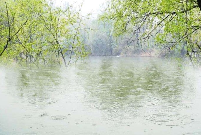 薇伊在國內(nèi)空氣凈化領(lǐng)域樹立了新的品牌標(biāo)桿，成為了廣大消費者辦公居家的首選產(chǎn)品