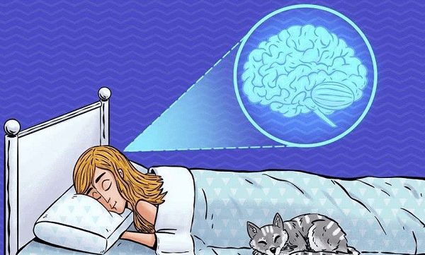 睡眠不足危害大，薇伊負離子讓你睡個好覺